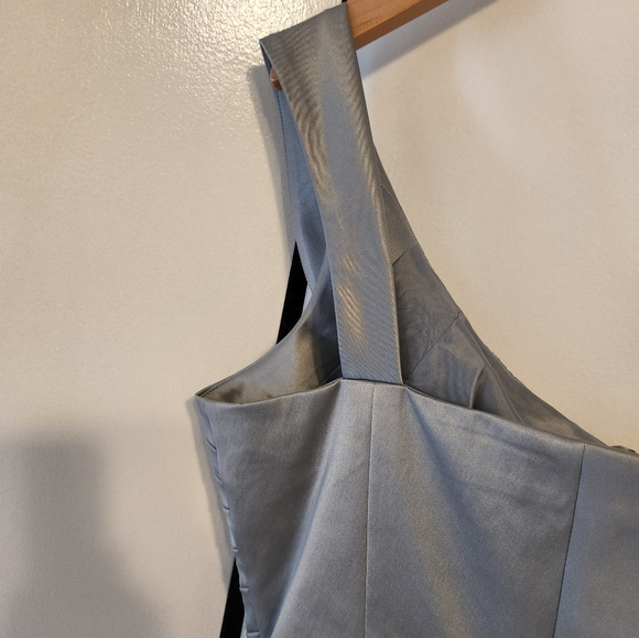 The Limited Silver/Grey Off The Shoulder Pleated Waist Evening Dress - Picture 6 of 13